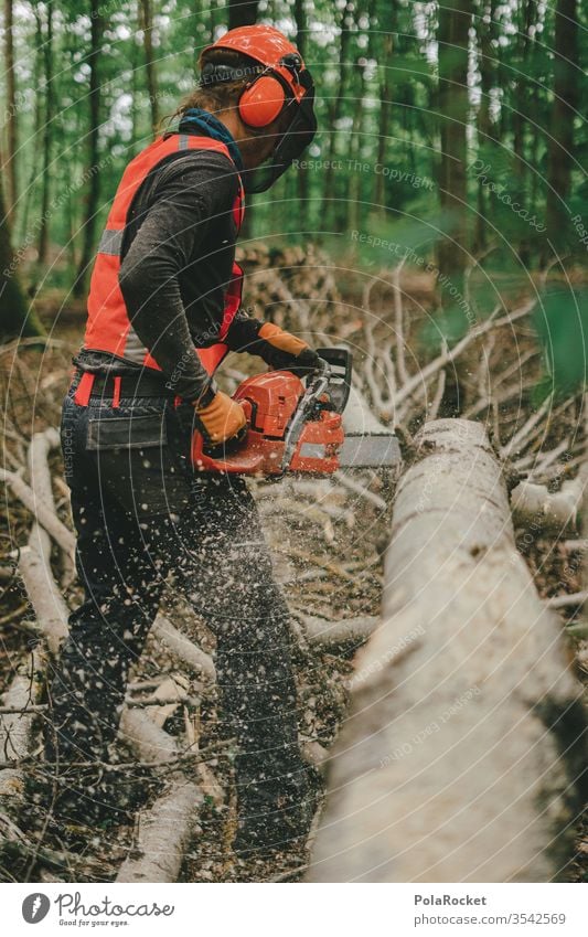 #S# Forest workers in action Lumberjack wood Firewood Chainsaw Protective equipment Helmet Meter beeches Wood work Nature tree Woodcutter Forestry Tree trunk