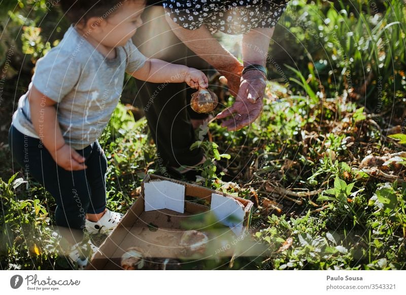 Child and grandmother gardening Grandmother Human being Grandchildren Family & Relations Onion Gardening Organic produce Generation Happy Authentic Nature Woman