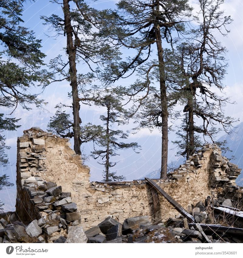 remains of a house in front of trees Ruin Earthquake House (Residential Structure) collapsed walls huts Nepal