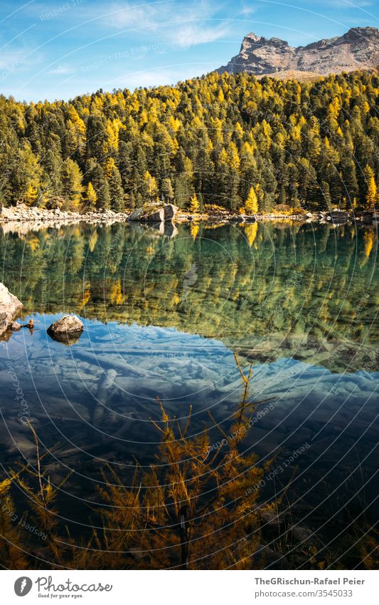 Lake in front of forest and mountains Forest Nature Landscape Hiking Deserted Mountain Alps Switzerland mountain lake Larch Autumn Brook Water clear