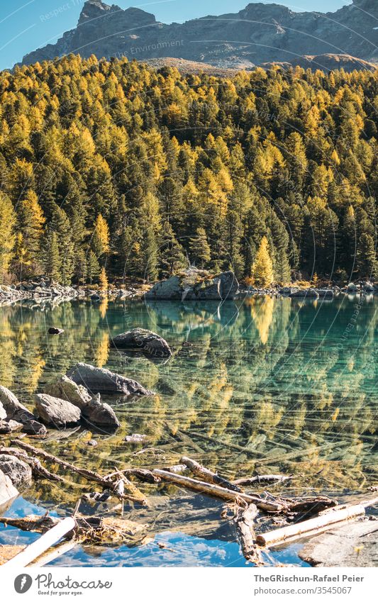 Lake with reflection surrounded by forest Forest Nature Landscape Hiking Deserted Mountain Alps Switzerland mountain lake Larch Autumn Brook Water clear