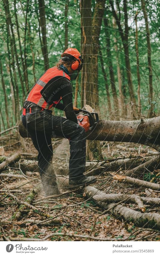 #S# Forest Workers in Action II Lumberjack wood Firewood Chainsaw Protective equipment Helmet Meter beeches Wood work Nature tree Woodcutter Forestry Tree trunk