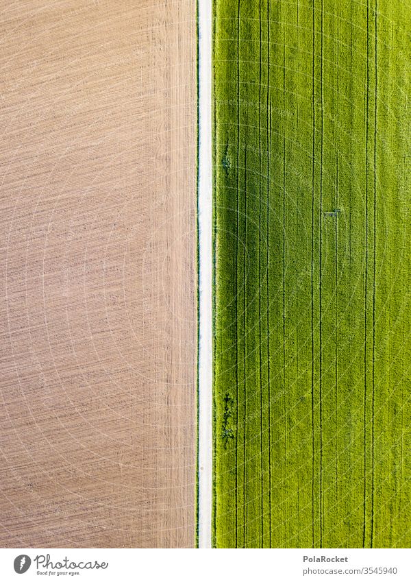 #S# brown vs. green To go for a walk Deserted Bird's-eye view Long shot Colour photo Exterior shot spring Meditative drone Religion and faith Hiking Above Field