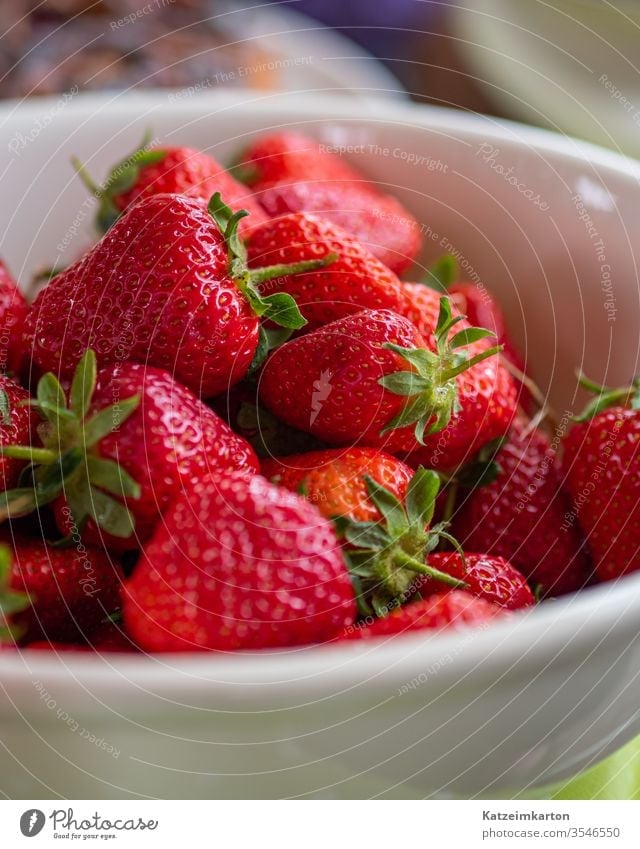 Strawberry strawberries group seasonal snack color eating tasty green background juicy strawberry ripe sweet food red fruit summer nature delicious dessert