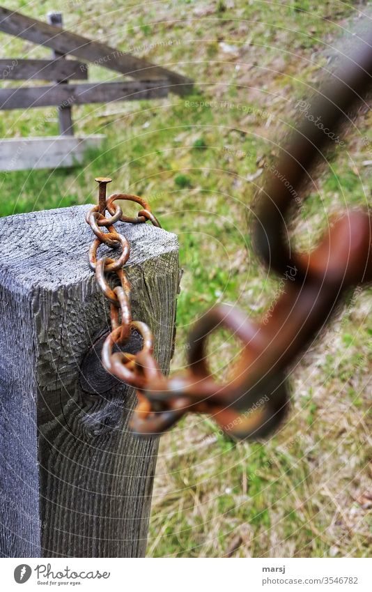 Rusty iron chain is attached to a nail. Chain nails Wooden stake lock locked shut Wooden fence Metal Chain link Attachment Connectedness Safety Connection