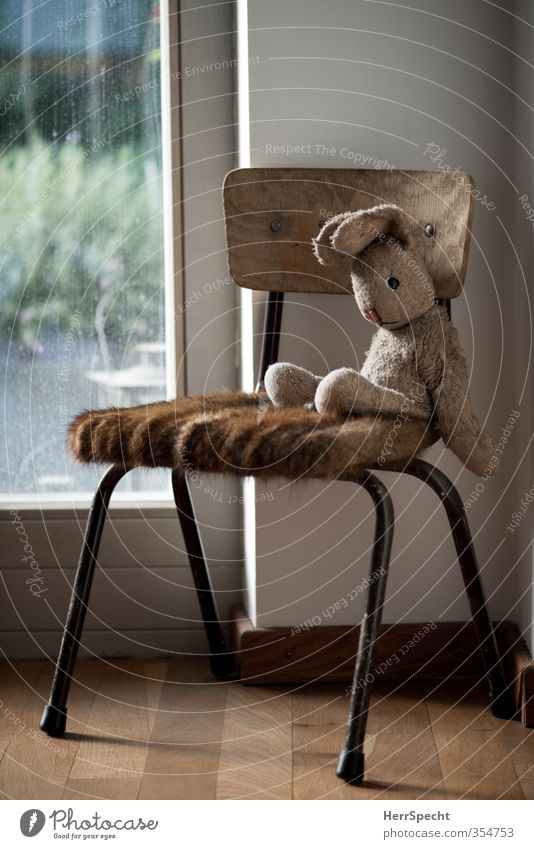 What am I doing here? Table Wall (barrier) Wall (building) Toys Cuddly toy Observe Wait Old Cute Soft Brown Serene Boredom Sadness Fatigue Loneliness Exhaustion