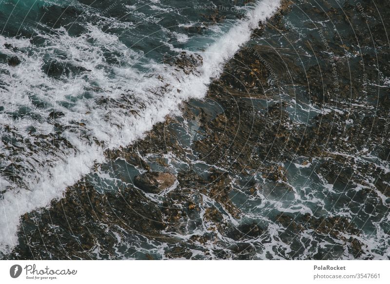 #As# seaweed Seaweed Ocean Sea water Swell Waves