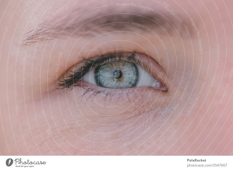 #As# In view Colour photo Skin iris Vision Woman Detail Macro (Extreme close-up) Pupil Close-up Face Eyelash ocular Looking Human being Opthalmology Eye colour