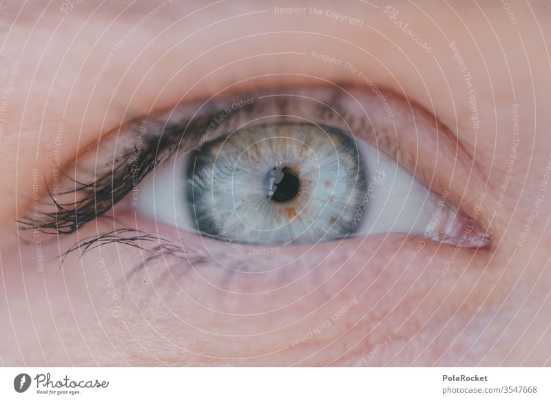 #As# Blue Planet Eyes Eyebrow Eye colour Opthalmology ocular Looking Human being Eyelash Face Close-up Pupil Macro (Extreme close-up) Detail Woman Vision iris