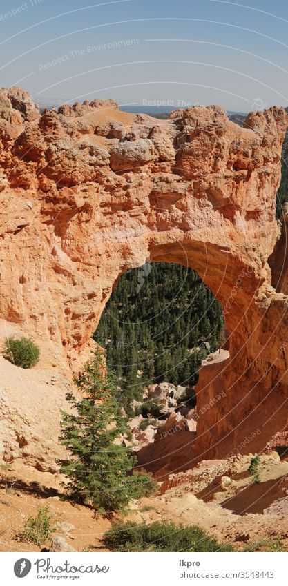 bryce   national  park the beauty of nature thor peek a boo adventure wilderness navajo trail dramatic amphitheater plateau point mountain hiking