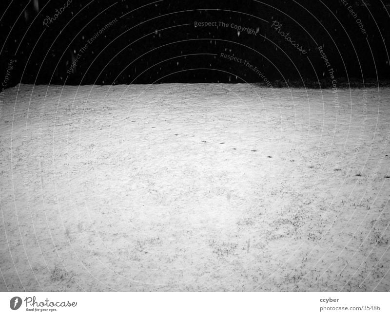 Tracks in the snow Black White Winter Cold Snow