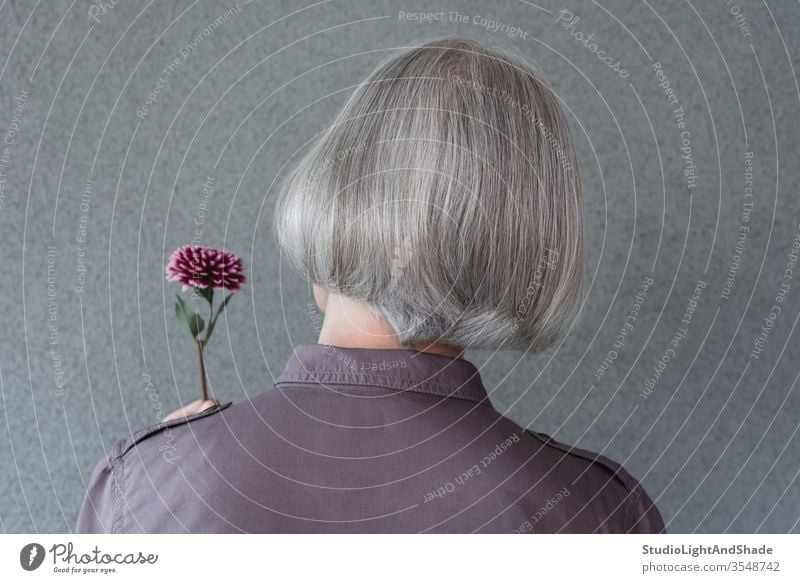 Elegant gray-haired woman holding red flower head purple grey silver short hair person female 50s 60s lady dahlia hairdo hairstyle styling stylish hairdresser