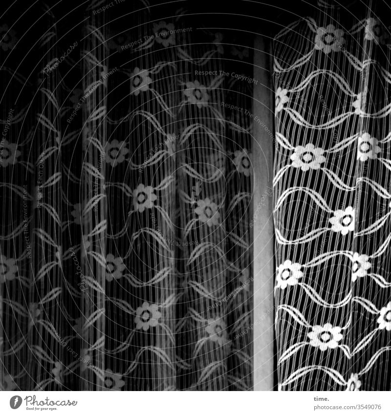 Back then Drape Curtain Black & white photo Pattern structure little flowers decoration Woven Shadow Window Old Former Nostalgia Design Cloth textile