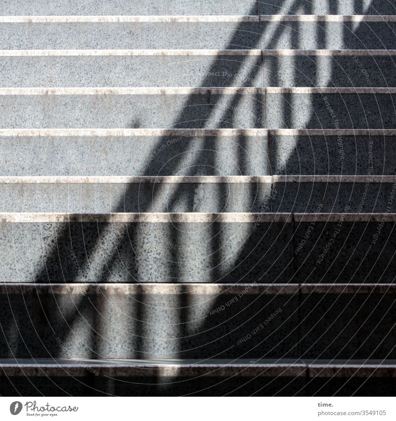 parallel world Stairs Banister stair treads sunny Stone Shadow sales mark Visual spectacle Parallel Gray Sunlight up