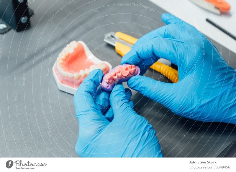 Student working with dental prosthesis in laboratory jaw denture man study dentistry artificial orthodontic health care medicine oral stomatology teeth tooth