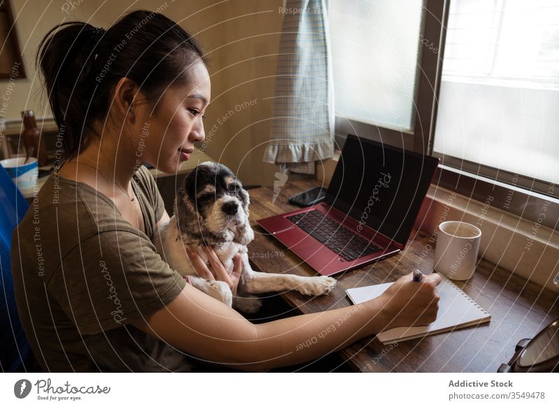 Busy Asian female entrepreneur working in home office at home pen paper notebook writing woman project notepad multitask take notes ethnic asian sit dog