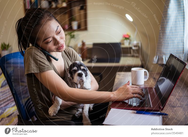 Busy Asian female entrepreneur working on laptop in home office talk woman smartphone take note project multitask using ethnic asian typing sit dog domestic pet