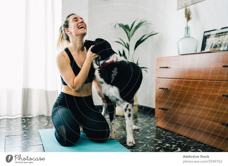 Cheerful woman having fun with dog during yoga session at home laugh lick companion friend together smile owner female purebred practice pet animal lifestyle