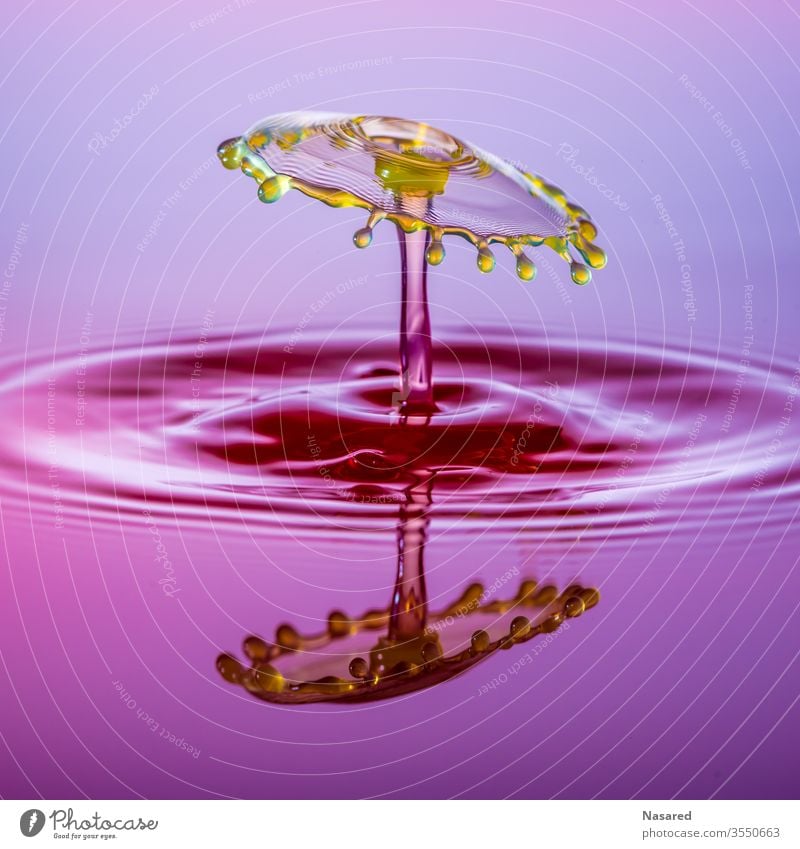 Yellow drop of water on red water Water Red Reflection Surface of water Water reflection plummeting To fall Drops of water Umbrellas & Shades