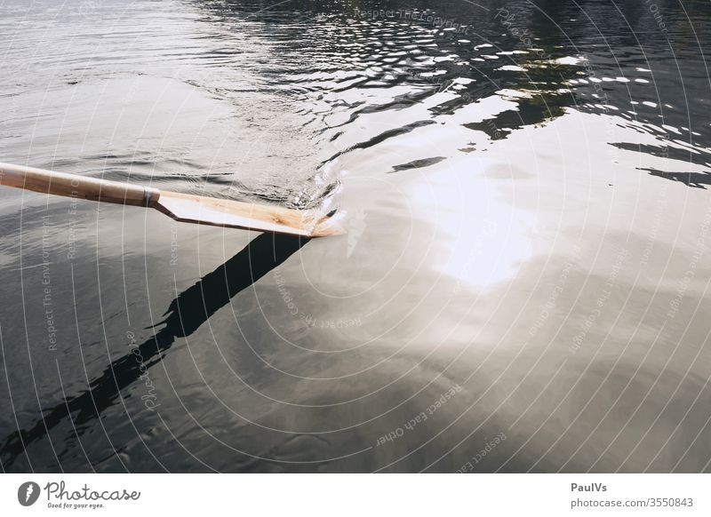 Wooden oars in water Oar wooden rudder Water go boating Rowing Nature Lake Ocean River Brook Pond Rowboat Carriage Craft Stack Calm Salzkammergut Upper Austria