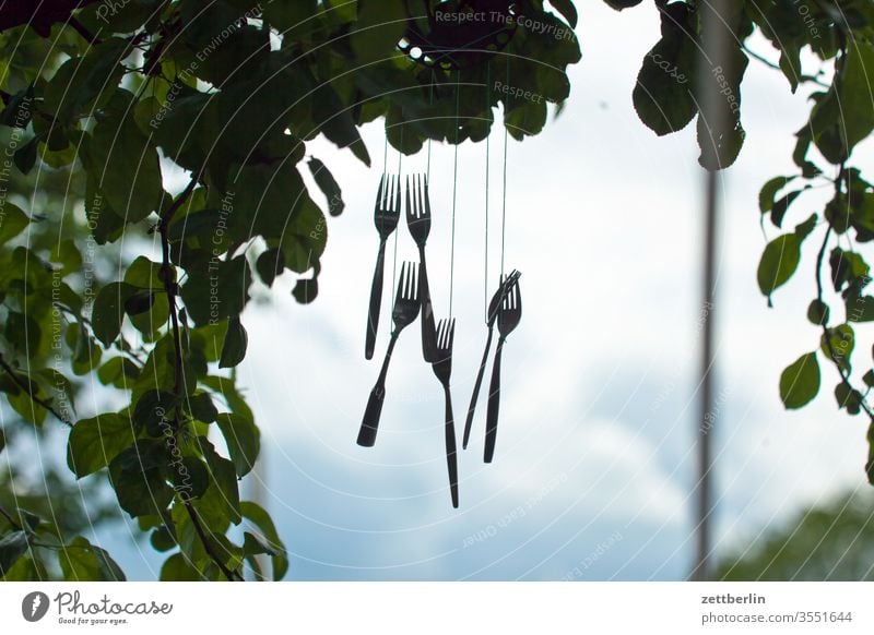 Six forks in the wind Branch Fork Sound Cutlery ring Wind chime tree holidays Garden wind chimes Sky allotment Garden allotments Suspended Deserted Nature