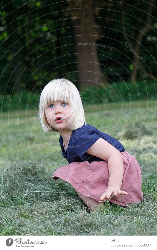 Heumadl Hay Harvest girl Child Sit Crouch Posture Gestures Meadow Grass Nature natural rural Field Infancy Marvel Amazed Curiosity inquisitorial luck fortunate