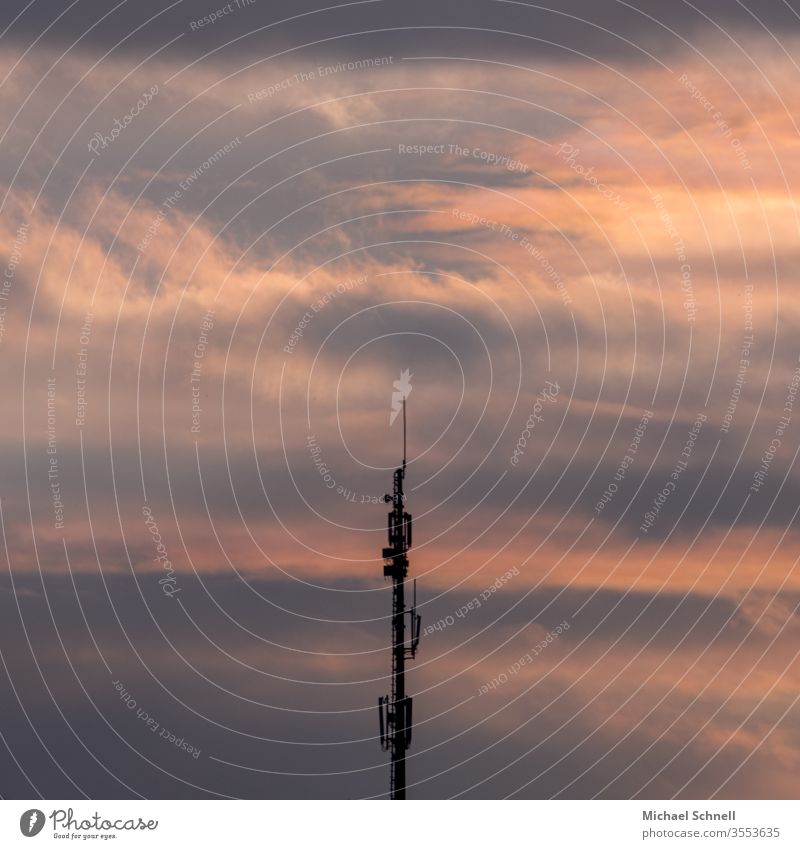 Transmission mast in front of an evening sky Broadcasting tower Exterior shot Colour photo Sky Deserted Copy Space top Technology Information Technology