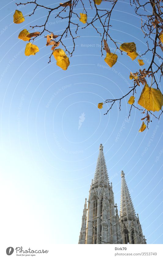 Votivkirche in Vienna, in autumn votive church Autumn Autumnal autumn light clear Clarity Blue sky Sky Colour photo Exterior shot Beautiful weather Day Deserted