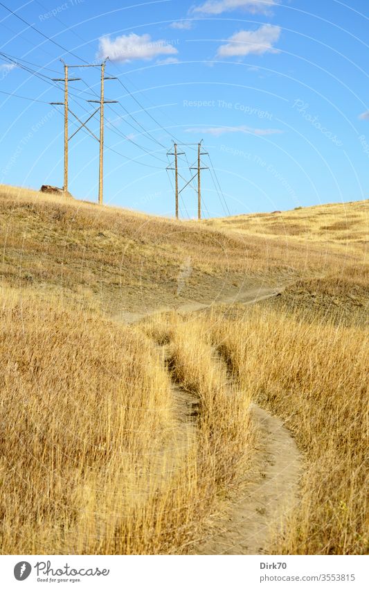 Prairie in Colorado prairie Grass Meadow Dry aridity dry grass Power lines Energy power supply rural bouldering Exterior shot Nature Landscape Field Sky Summer
