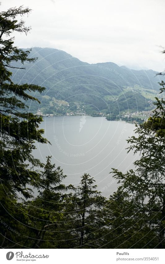 View of Traunsee, Gmunden and Altmünster from the Traunstein through trees huts Forest mountain Mountain forest high forest Lake Salzkammergut cloudy mountains
