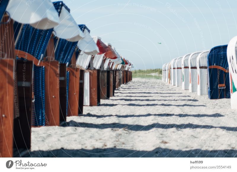 Beach chairs in line waiting for the guests beach chair Ocean Beach chair rental lockdown Vacancy vacant Empty Baltic Sea Vacation & Travel Sand Coast