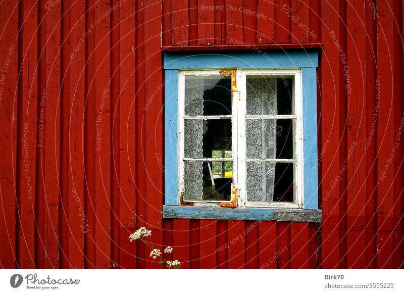 Somewhere in Norway - blue framed window of a red wooden house House (Residential Structure) Wooden house Detail detail Window Window frame Drape Point