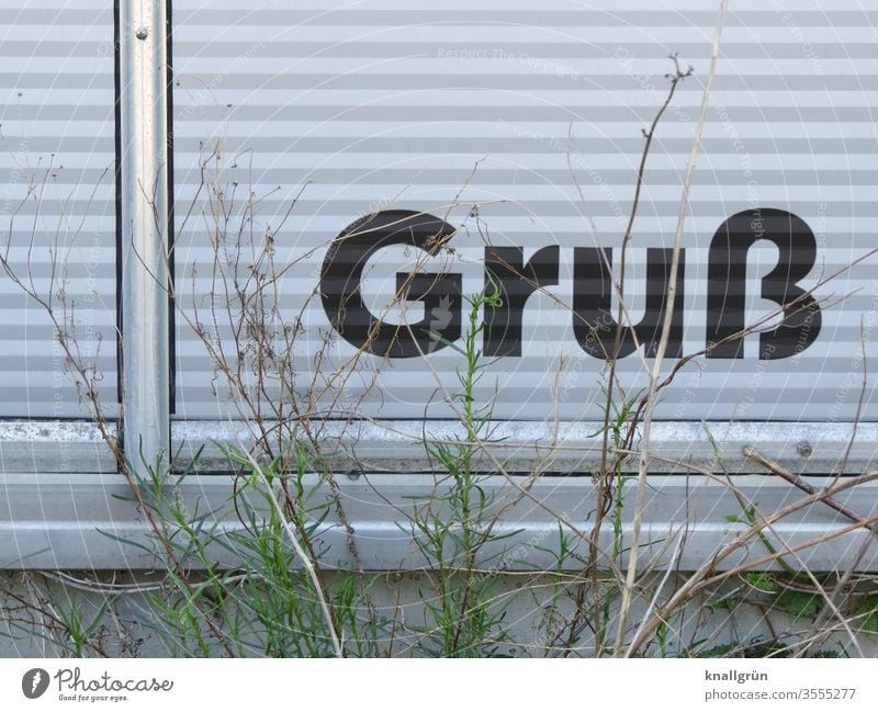 The word "greeting" is written at the bottom of an aluminium wall covering, in front of it a few half wilted green plants Signs and labeling Word