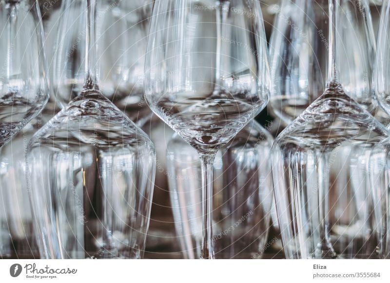 Wine glasses on a shelf wine glasses Glazier Glass Shelves Bear Many Offset through glass Transparent Gastronomy Vine sommelier Close-up Fragile structured