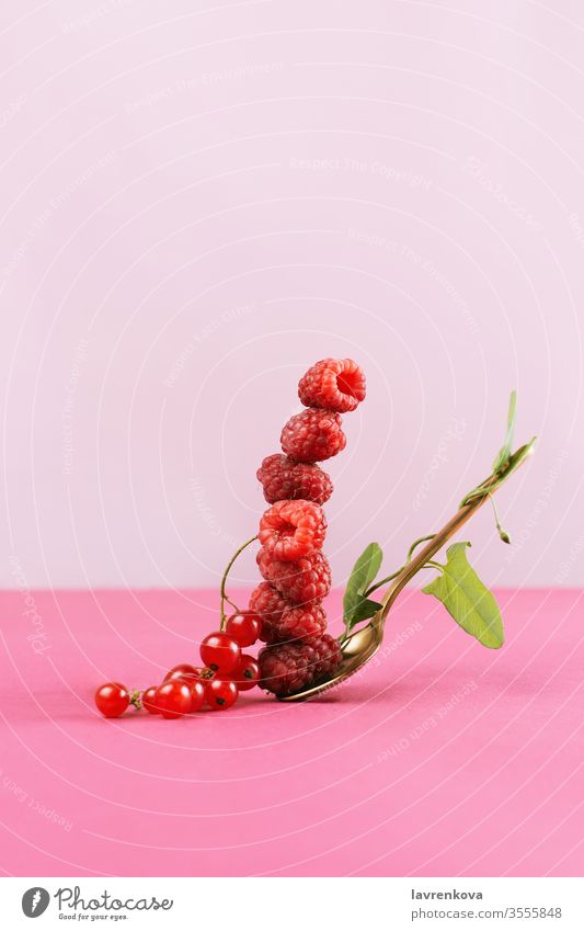 Balancing stack of fresh rapsberries on a golden spoon with green ivy leaves, selective focus pink balance concept raspberries currant delicious sweet healthy