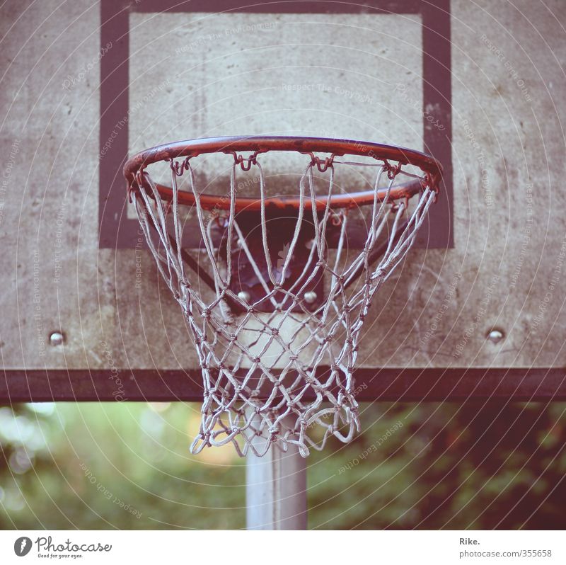 Precision required. Lifestyle Joy Leisure and hobbies Playing Summer Sports Ball sports Basketball Sporting Complex Optimism Willpower Self Control Contentment