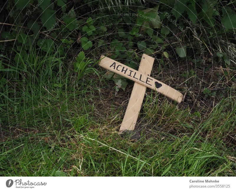 Umgeknicktes Kreuz am Wegesrand mit der Aufschrift Achille "der Schmerz" achille religion trauer tod gestorben wegesrand natur queraufnahme keine menschen