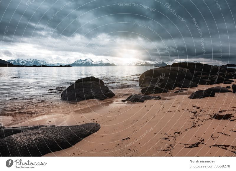 rainy weather Panorama (View) Sunlight Reflection Contrast Day Copy Space top Deserted Exterior shot Colour photo Norway Wanderlust Surrealism Lofotes Longing