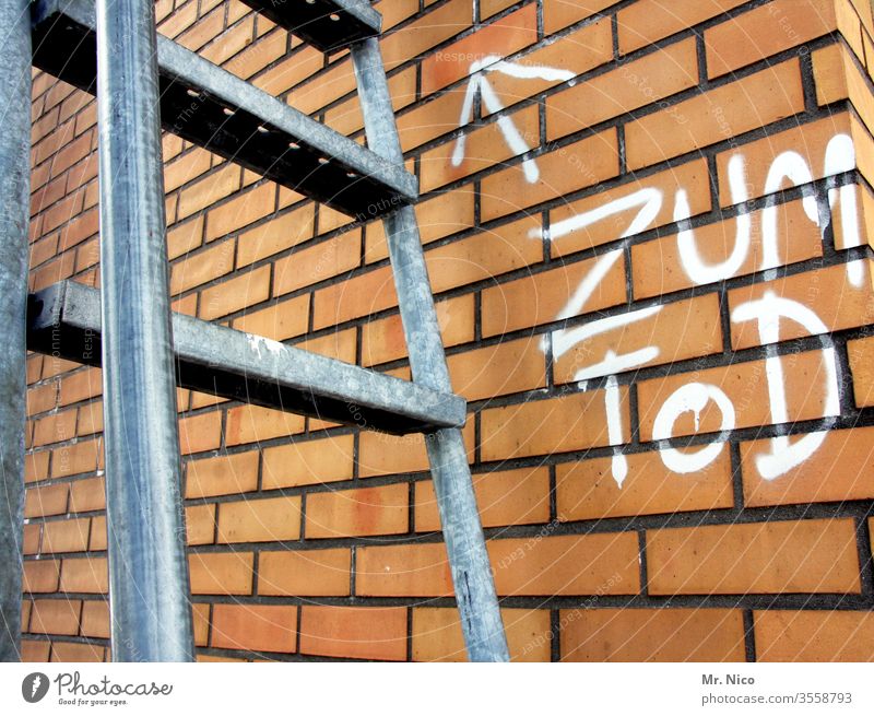 Suicide risk Ladder Stairs Death To fall Wall (building) Go up Crash Rung Sudden fall Fear of heights Downward built case Wall (barrier) Graffiti Arrow