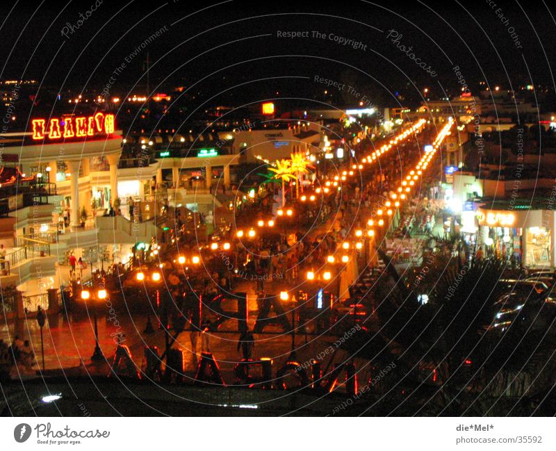 Nightlife in Naama Bay Egypt Night life Foreign countries Town Vacation & Travel Neon sign Night shot Moral naama bay Light city-lights after sunset