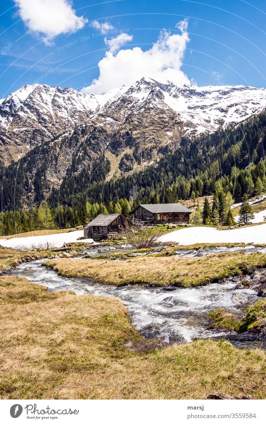 Neualm and Obertalbach with waterfall peak in the background Alpine pasture Alpine huts Mountain stream mountains Snowcapped peak spring awakening Upper Valley