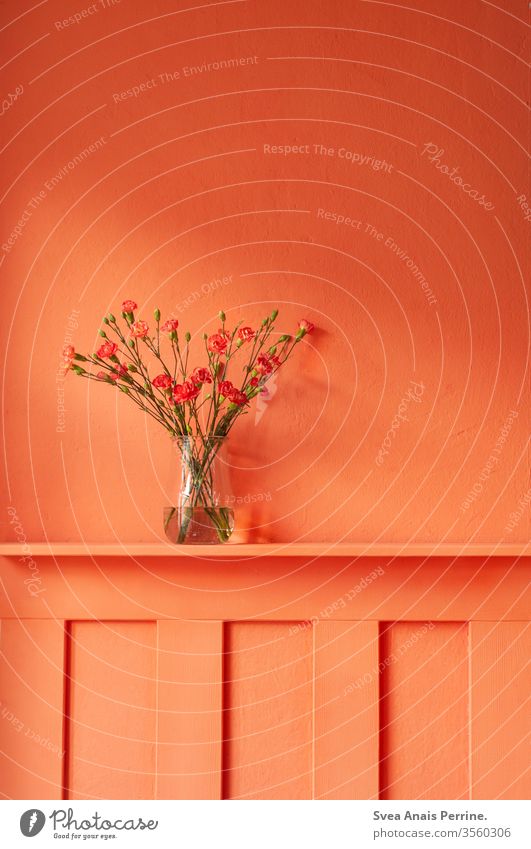 warm colours dwell Bouquet flowers Vase Flat (apartment) Wall (building) wall paint variegated colourful Summer Orange-red Interior shot interior decoration