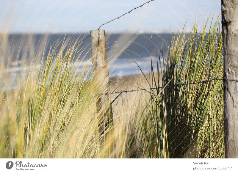 dune Vacation & Travel Beach Ocean Waves Environment Nature Landscape Sand Water Plant Foliage plant Coast North Sea Netherlands Barbed wire fence Threat Safety