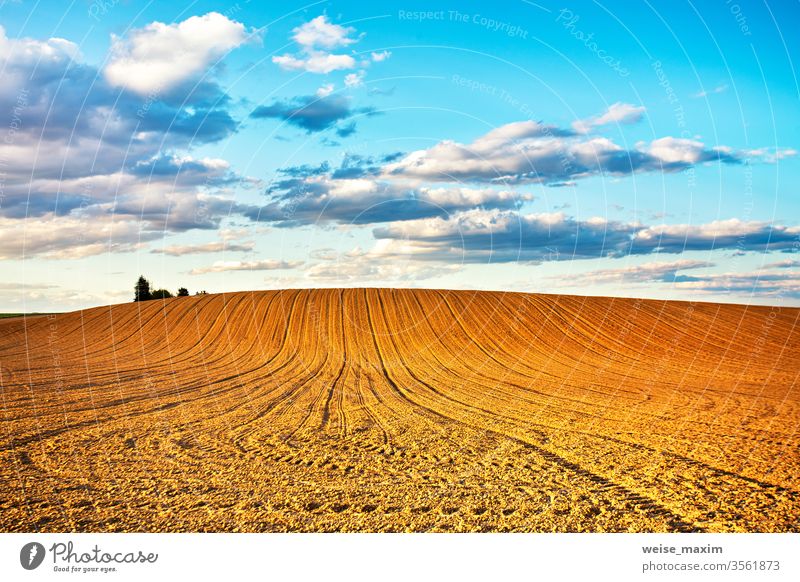 Linear plowed agriculture on hills field land arable rural nature landscape spring farmland furrow dirt soil cultivated background countryside brown season