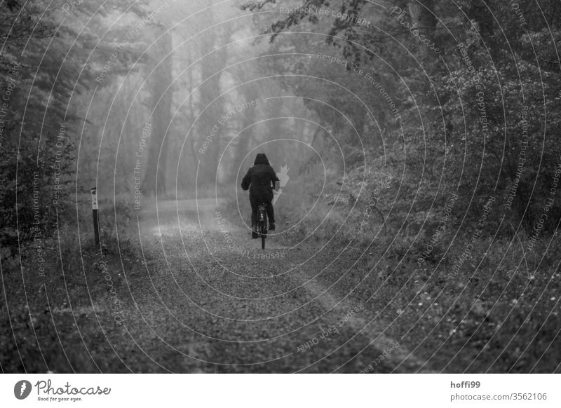 Cycling in the rain in the forest Cyclist cyclists Rain Rainy weather Forest forest path Bad weather rainwear Bicycle Sports Nature people Lifestyle Healthy