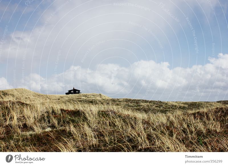 Distance. Vacation & Travel Environment Landscape Plant Sky Clouds Beautiful weather North Sea Dune Denmark House (Residential Structure) Vacation home Emotions