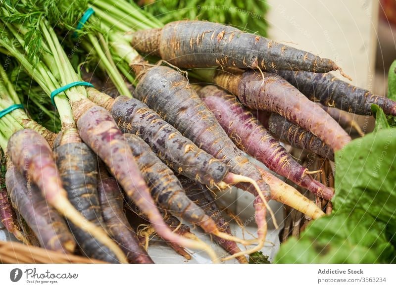 Female hand with radish in hand in a fruit shop root food freshness red agriculture vegetable healthy leaf ingredient raw organic nature summer garden