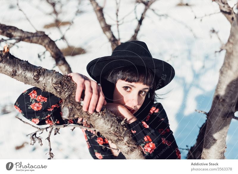 Charming woman in winter garden style fashion beautiful tree park snow hat female young brunette nature trendy calm relax tranquil charming lady attractive