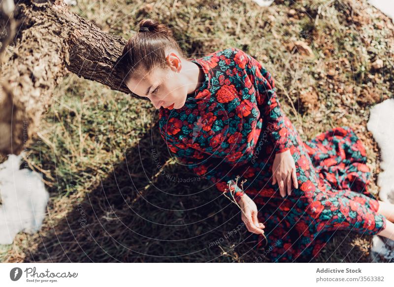 Unhappy woman in stylish dress sitting under tree unhappy sad style upset colorful lonely autumn female forest fashion red park young makeup brunette trendy
