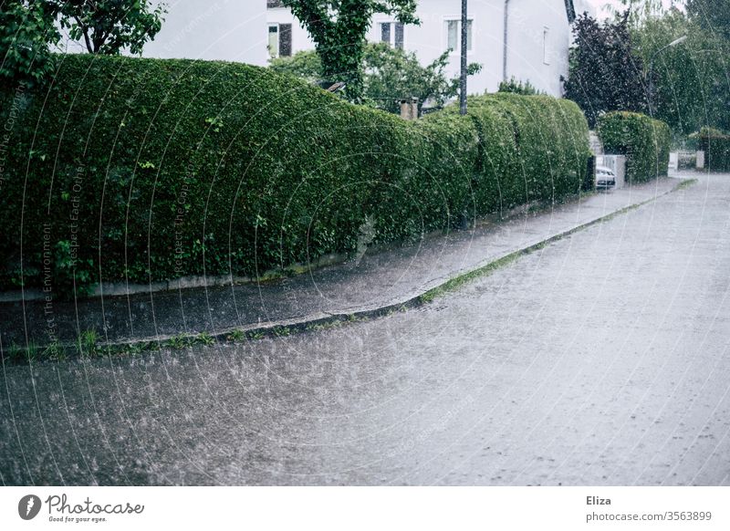 A street in a residential area in heavy rain Rain downpour Empty Street Wet Bad weather Weather Autumn Residential area Sidewalk Strong Gloomy Gray green
